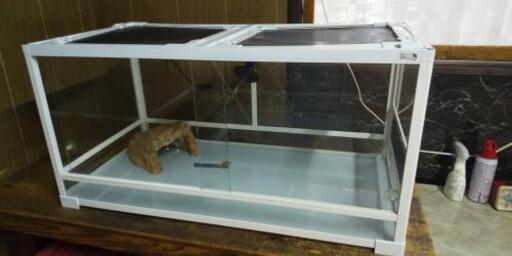 リクガメ 飼育セット