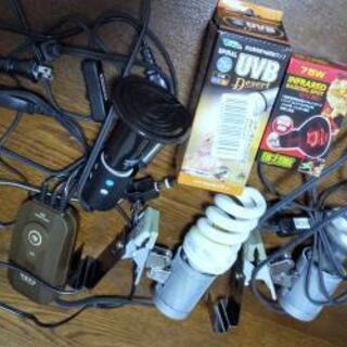 リクガメ 飼育セット