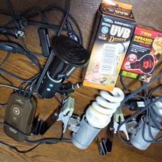 リクガメ 飼育セット