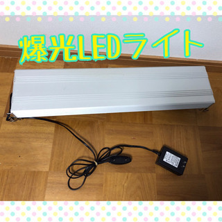 高品質　LED ライト　60センチ用