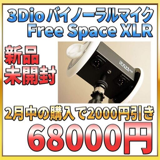 【送料＆代引き手数料無料 新品未開封】3Dio  バイノーラルマイク Free Space XLR ASMRマイク