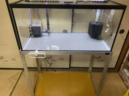 格安！熱帯魚水槽セット 引き取り限定！