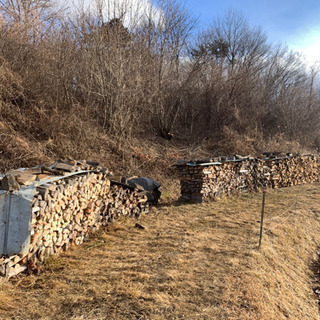 乾燥薪 ケヤキ 軽トラ一台(1㎥) 10,000円 45センチ、35センチ