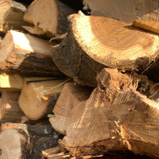 乾燥薪　ケヤキ　軽トラ一台(1㎥)  10,000円　45センチ、35センチ 乾燥薪 ケヤキ 軽トラ一台(1㎥) 10,000円 45センチ、35センチ