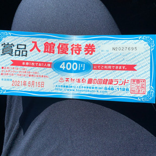 【ネット決済】豊の国健康ランド400円入館券
