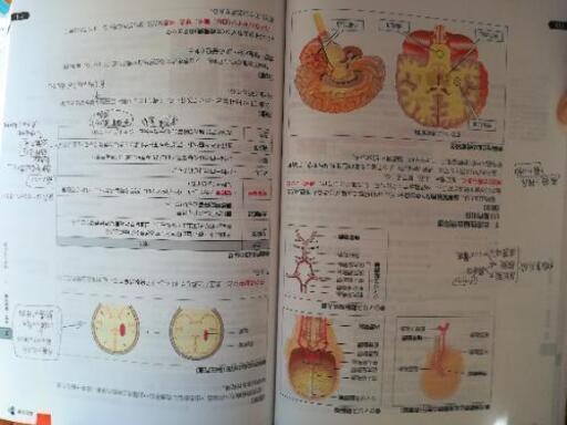 99%書き込み無！薬剤師国家試験対策2021年版青本全巻