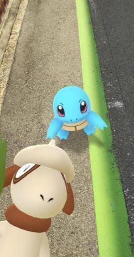 なんば周辺 お散歩しながらポケモンgo しんた 難波の友達のメンバー募集 無料掲載の掲示板 ジモティー