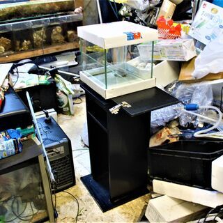 その他 熱帯魚用品 大量入荷
