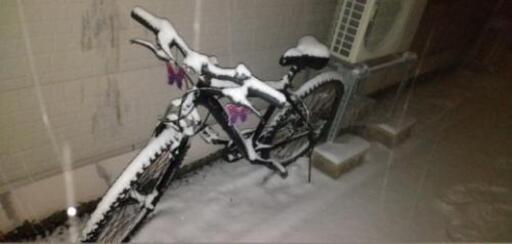 自転車