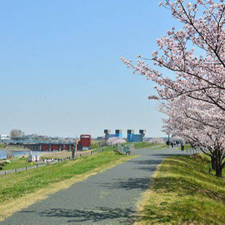 赤羽近く荒川河川敷☆週末☆ジョギングしませんか