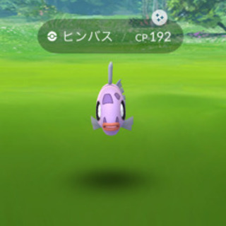 ポケモンGO 交換フレンド募集