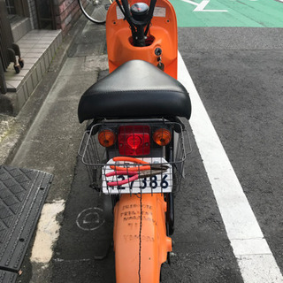 スズキチョイノリ 初期型セルなし オレンジ | tintasmarfim.com.br