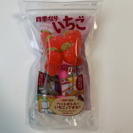 お話し中ペットボトル栽培キットいちご枝豆 愛 寒川の家電の中古あげます 譲ります ジモティーで不用品の処分 お話し中ペットボトル栽培キットいちご枝豆 愛 寒川の家電の中古あげます 譲ります ジモティーで不用品の処分