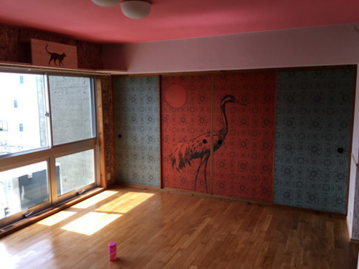 猫🐱専用マンション、多頭飼いOK (柔術大家) 梅の辻の賃貸（マンション 