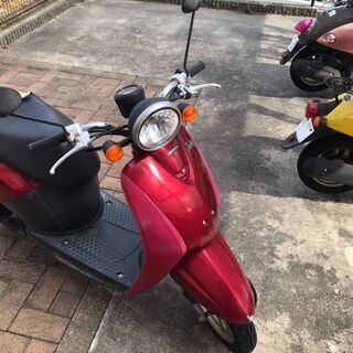 ホンダ　トゥデイ　赤　すぐ乗れます