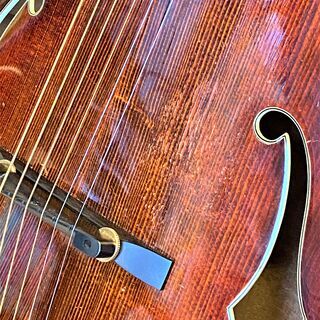 Eastman 810　Antique Red　値下　１４　→　１２