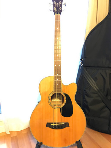 その他 IBANEZ AEB10E-NT