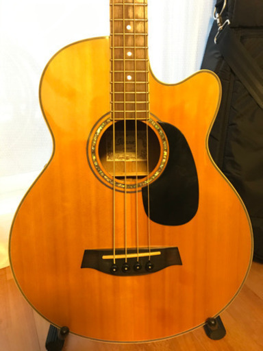 その他 IBANEZ AEB10E-NT