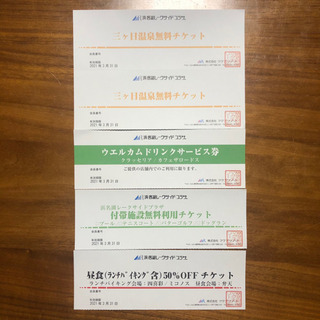 【ネット決済・配送可】浜名湖レークサイド 温泉無料チケット2枚＋...