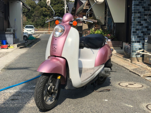 ホンダ　スクピー　実働