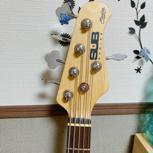 五弦ベース】【青色】Sterling by MUSIC MAN | pcmlawoffices.com