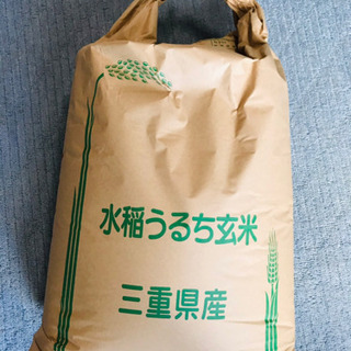 2019年度　古米　３０ｋｇ　三重県産