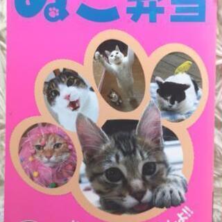 😸ぬっこぬこにしてやんよ！！ 🐈ぬこ弁当🙀