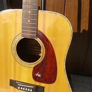 山本丈晴　TAKEHARUギター【WT-150】　3ピース　ハードケース付属
