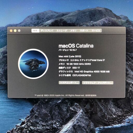 カスタム済 MacMini Late2012 i7 2.3GHz 16GB 本日お届けします】超カスタム Mac mini【大容量SSD+HDD Server