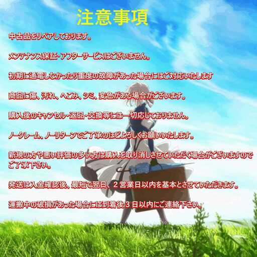 本日お届けします】ヴァイオレット・エヴァーガーデンモデル【SSD