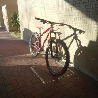 スタントン　スラックライン　16.5
