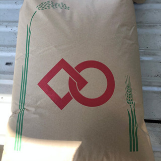 Amazon.co.jp: 新米 お米30キロ 令和6年産 茨城県産 コシヒカリ 玄米 30kg 農家直送人気 : 食品・飲料・お酒