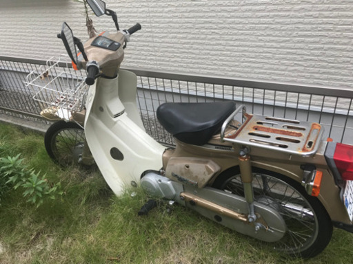 カブ