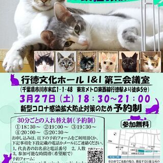 【千葉県市川市】イコール保護猫譲渡会vol.5