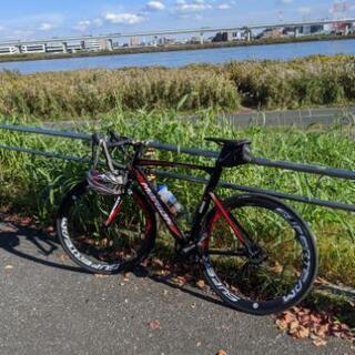 【超美品】メリダ-リアクト400