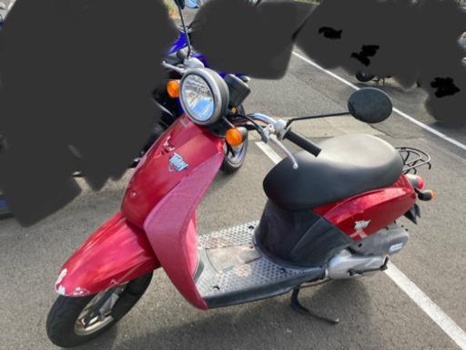 HONDA トゥデイ　原付バイク　50cc