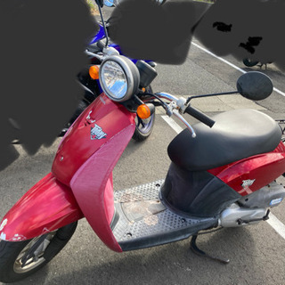 【ネット決済】HONDA トゥデイ　原付バイク　50cc