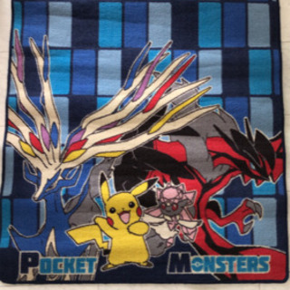 ポケモンカーペット 椿月 那覇の服 ファッションの中古 古着あげます 譲ります ジモティーで不用品の処分