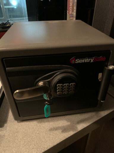 Sentry Safe デジタル金庫