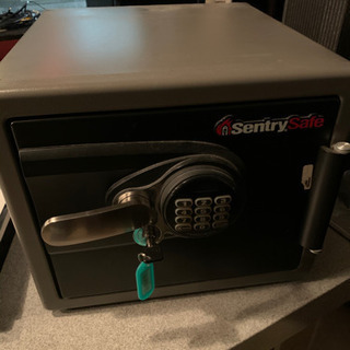 Sentry Safe デジタル金庫