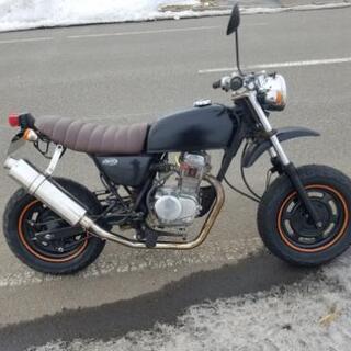 APE50 エイプ50 車体早期取引値下げ