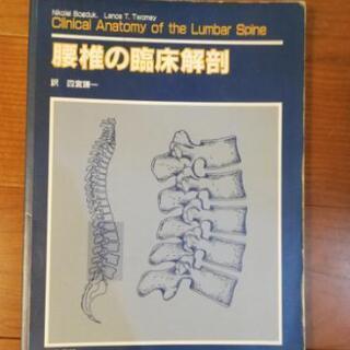 腰椎の臨床解剖（臨床の本）