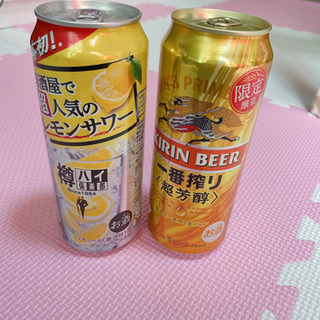 【決まりました】ビール&レモンサワー500ml