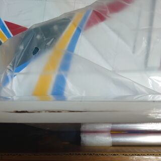 ラジコン DOMINO 50クラス、ラジコン飛行機