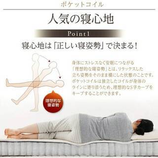 【1918】セミダブル・大容量収納跳ね上げベッド（縦開きタイプ）WNBR