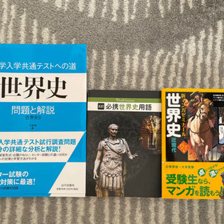 ⚠️値下げしました！⚠️★高校生向け★世界史参考書3点セット