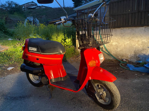 名車❗️HONDA スカッシュ実働美車❗️希少2スト❗️当時物取扱説明書/整備書有り❗️セル付き❗️