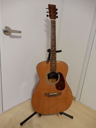 Aria Dreadnought AF-25N 中古