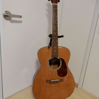 Aria Dreadnought AF-25Nの中古ギターです。