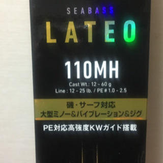 ダイワ ラテオ 110MH  磯ヒラスズキなどに！